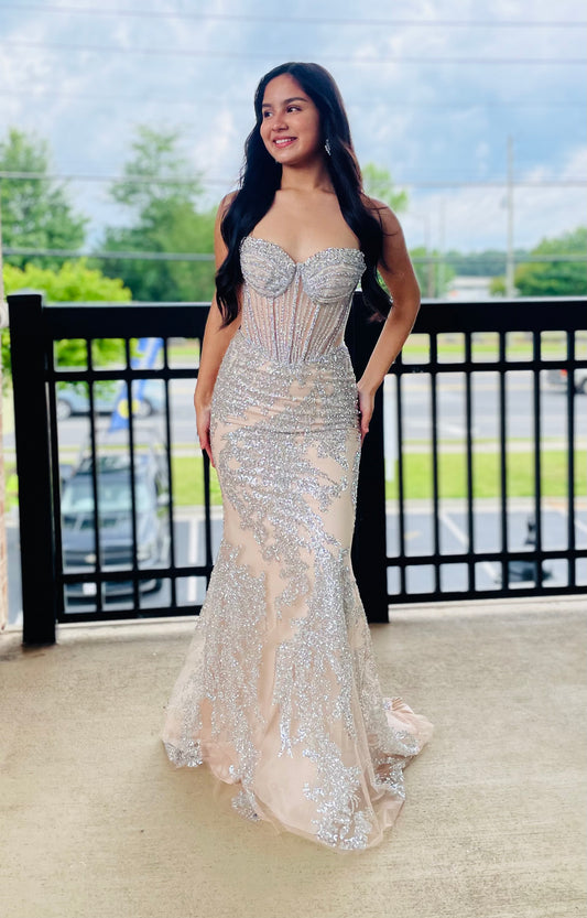 The Rivi Strapless Embellished Silver and Nude Gown