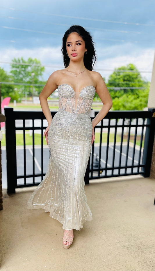 The Lilah Strapless Crystal Fitted Gown