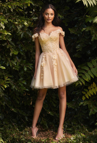 Short Homecoming Dress