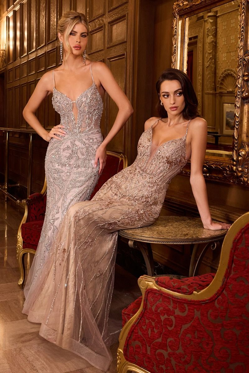 The Anahi Pearl Embellished Gown
