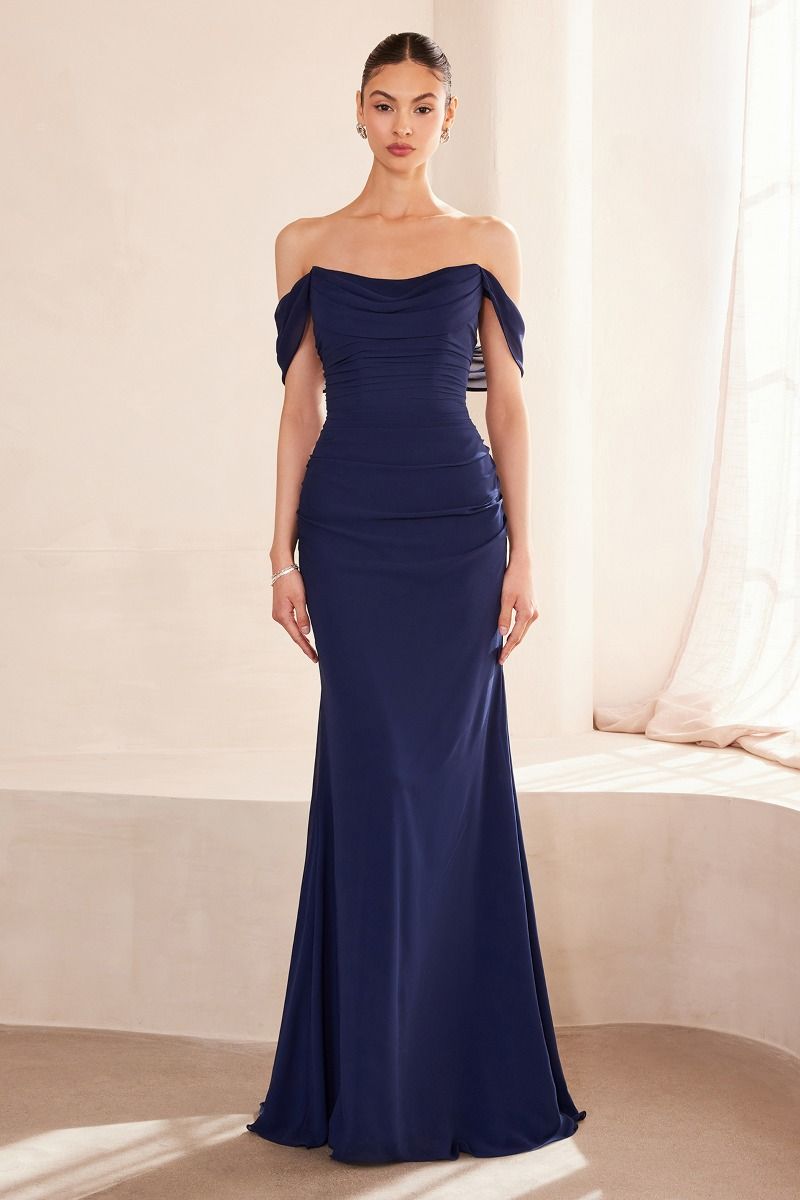 The Sandy Chiffon Fitted Gown