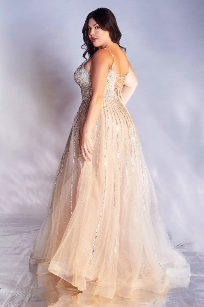 A-line Embellished Tulle Gown
