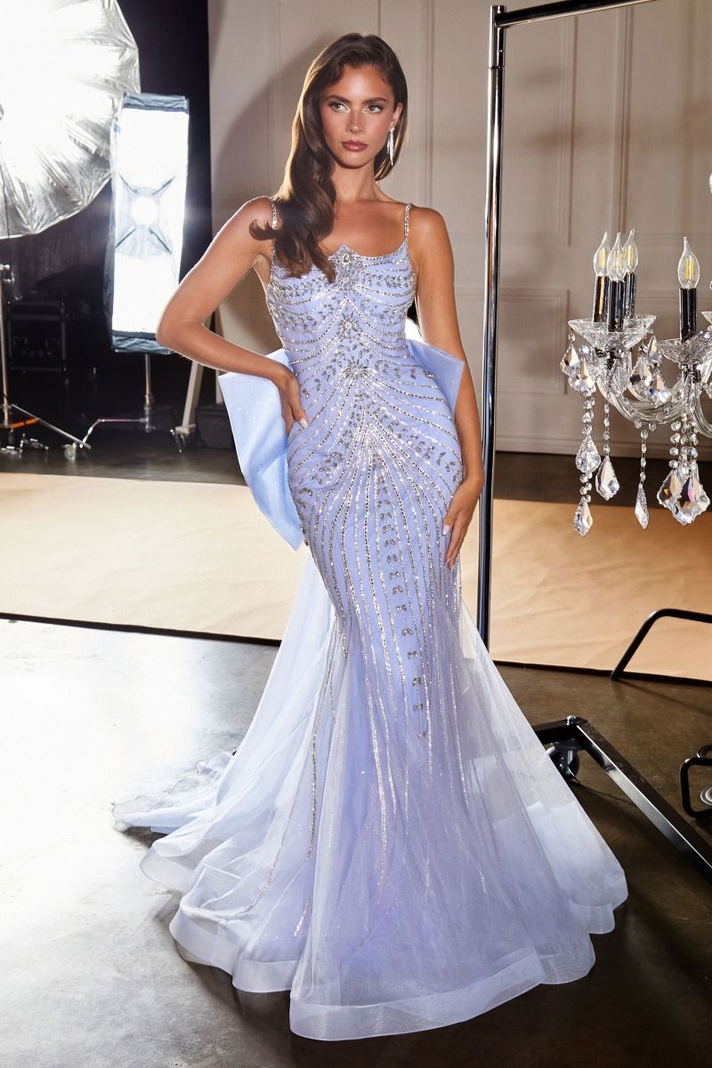 The Tatiana Beaded Gown with Removeable Bow