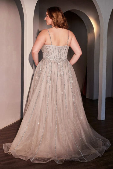 The Cora A-line Tulle Plus Size Dress