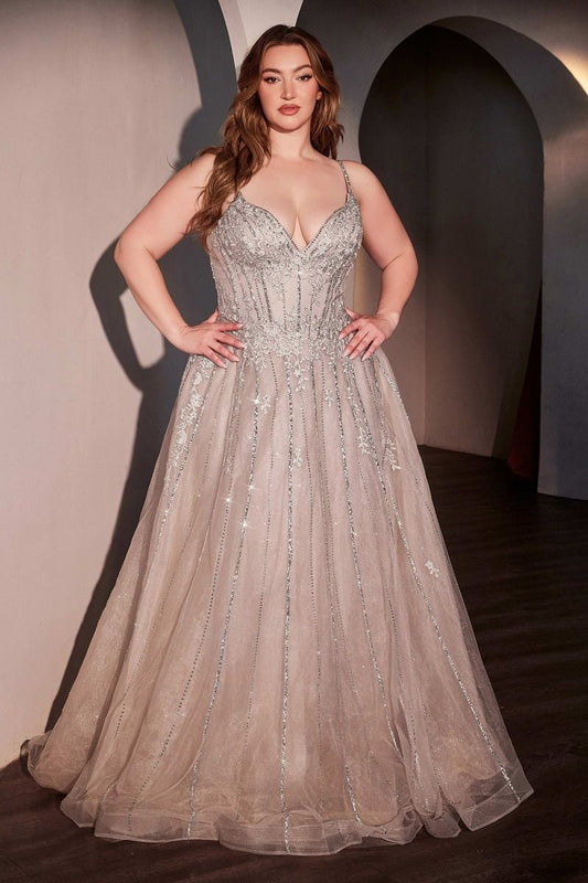 The Cora A-line Tulle Plus Size Dress