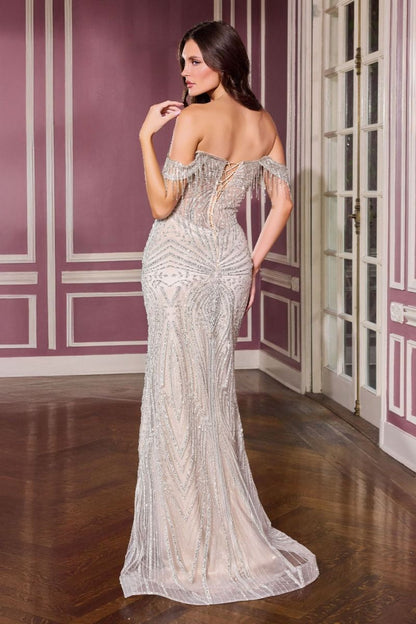 The Robin Glitter Dress with Crystal Fringe Detail