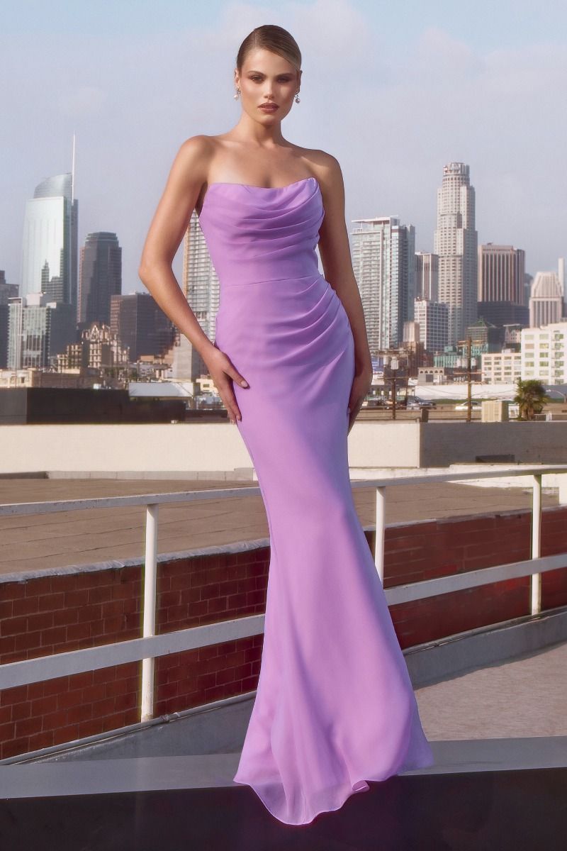 The Isabella Strapless Chiffon Dress