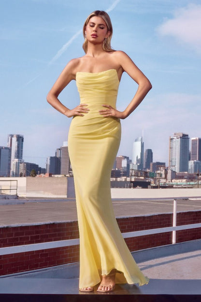The Isabella Strapless Chiffon Dress