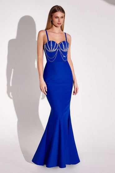 The Sophia Fitted Crystal Dress